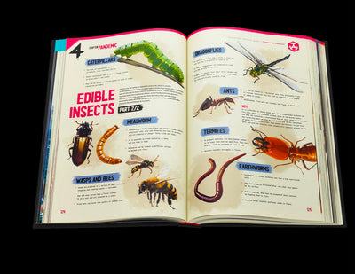 The 4: Illustrated Survival Guide to 4 Apocalypses