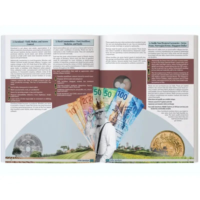 Dollar Apocalypse — Survival Guide for the Next Great Depression